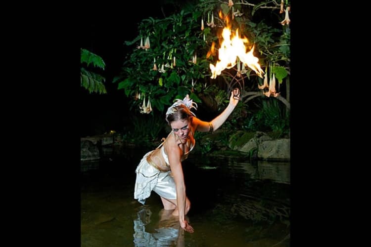 Soul Fire Productions team performance